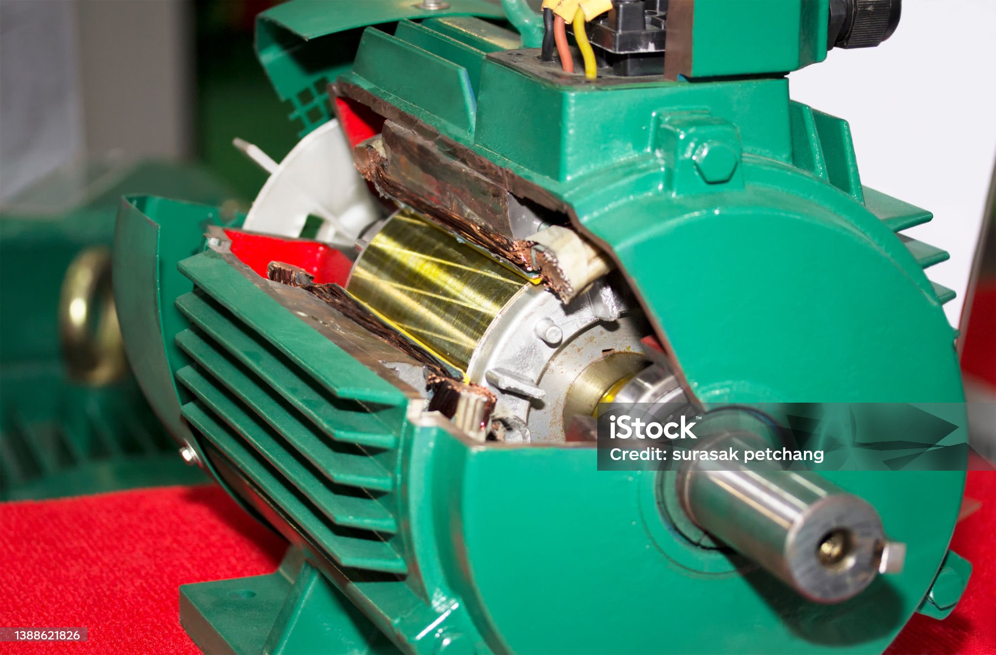 Motor rewinding internal view